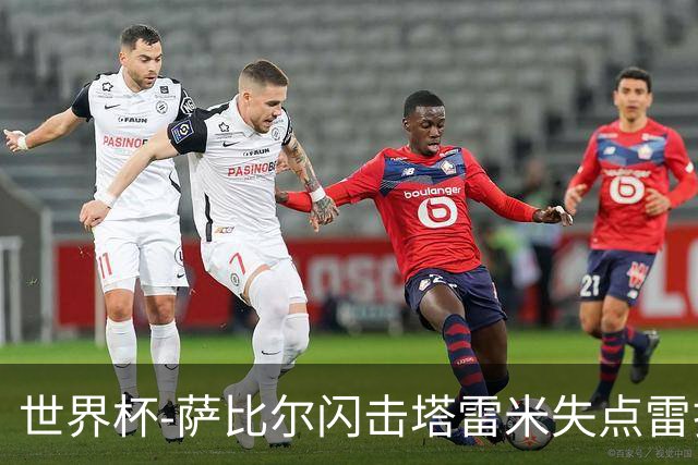 世界杯-萨比尔闪击塔雷米失点雷扎伊扬扳平 半场埃及1-1伊朗