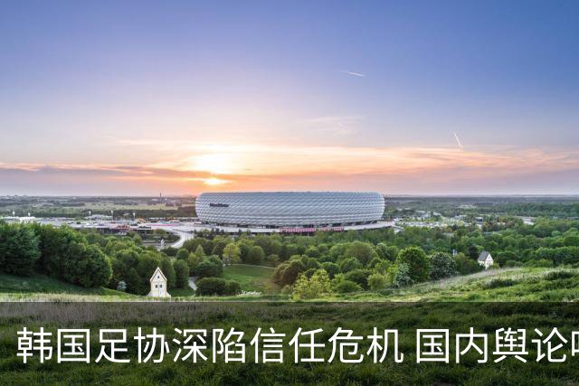 韩国足协深陷信任危机 国内舆论呼吁足协改革